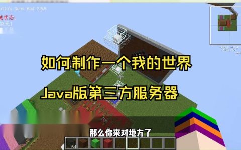 我的世界Java版中最大的服务器究竟有多大？