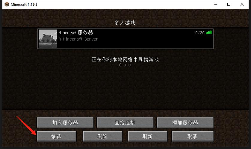 我的世界jave最大的服务器是什么