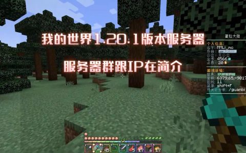 探索我的世界的无限可能，哪些服务器不容错过？