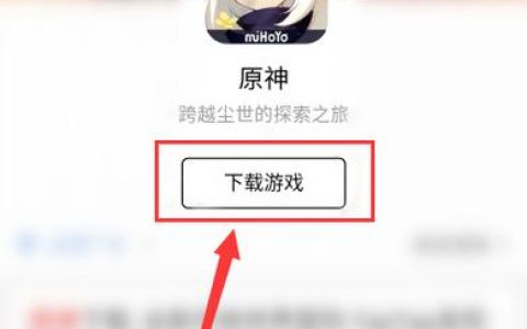 小米手机用户疑惑，下载的元神游戏究竟连接到了哪个服务器？