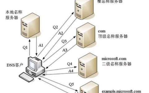 全国DNS服务器的作用是什么？