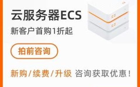 阿里轻量级应用服务器具体提供了哪些功能与优势？
