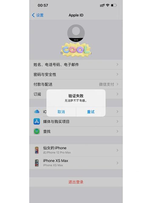 为什么注册苹果id显示无法连接服务器