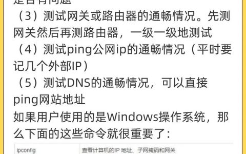 服务器指令员的角色与重要性是什么？