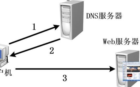 如何确定域名解析时所指向的服务器IP地址？