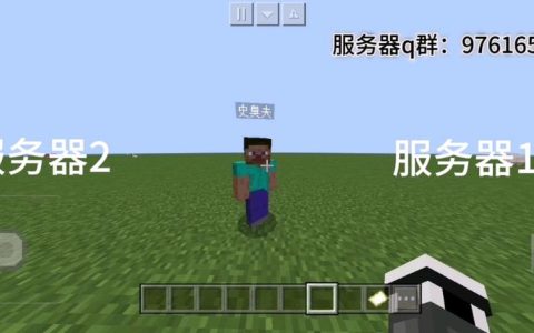 探索我的世界工人服务器的奥秘，它究竟能带来哪些好处？