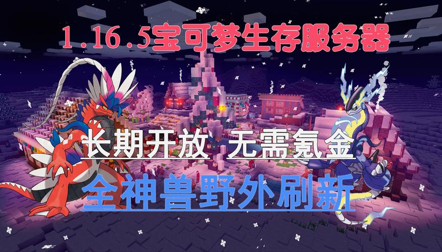 宝可梦剑国内玩家在什么服务器