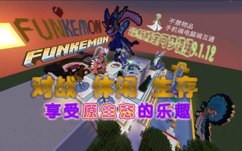 宝可梦剑国内玩家应该选择哪个服务器进行游戏？
