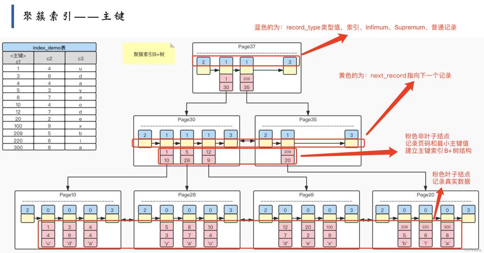 mysql创建数据库的位置_创建MySQL数据库