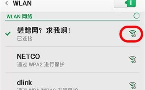 为什么手机需要连接服务器才能实现上网?
