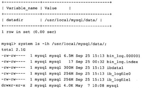如何高效查询MySQL数据库中的日期和错误日志?