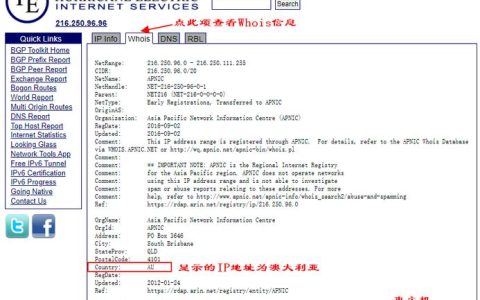 国外服务器的IP地址有何特征？