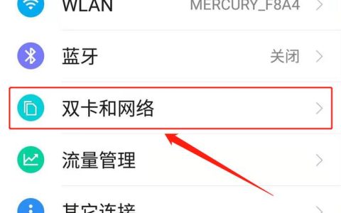 如何在苹果手机上启用双卡功能？