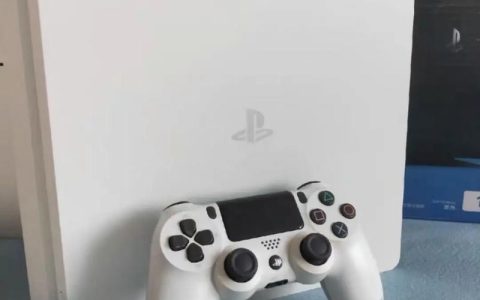 在新疆玩PS4应该连接哪个服务器以获得最佳游戏体验？
