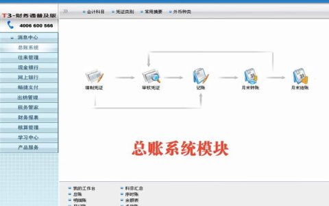 t3记账系统运行在哪种类型的服务器上？