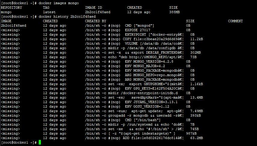 mysql命令查询表内前10行数据库_镜像内禁用关机命令