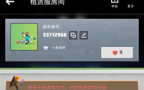 寻找刷钻服务器，究竟哪个名字背后隐藏着这项服务？
