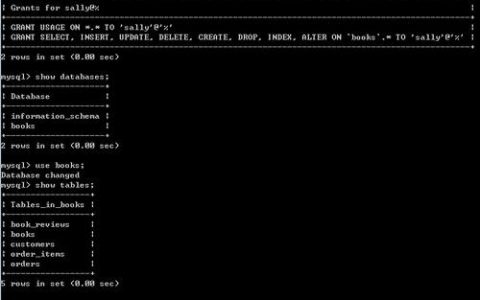 如何利用MySQL命令查看数据库的详细信息？