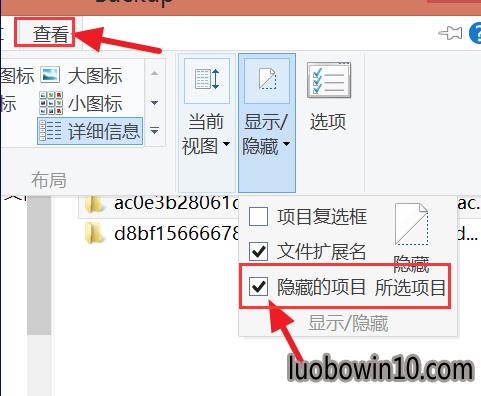 秋叶一键备份在哪里