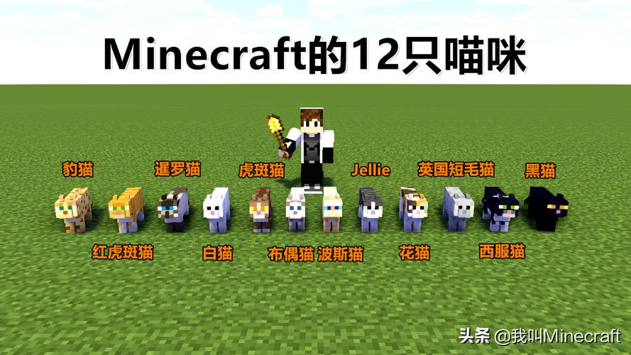 我的世界服务器里的猫叫什么