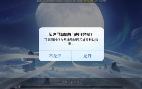 为何镇魔曲PC版本缺乏服务器支持？
