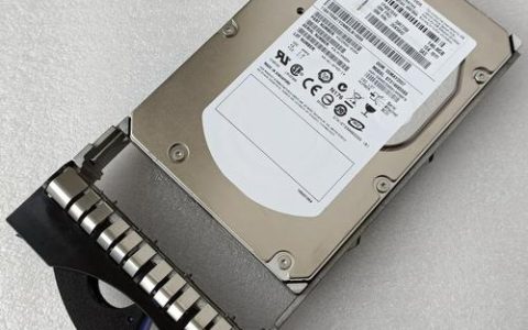 服务器硬盘ibmsas600g是哪个制造商的产品？