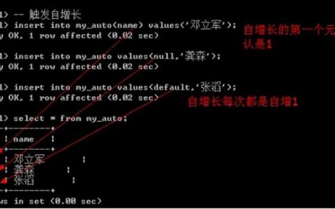 如何利用DDL语句实现MySQL数据库的自增长功能？