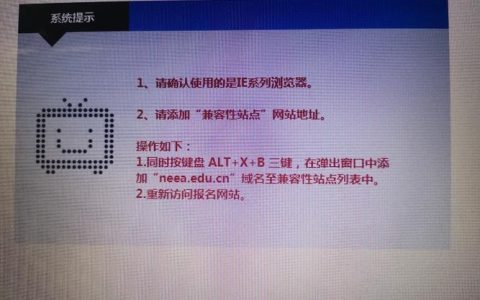 学考查询时遭遇服务器错误，原因何在？