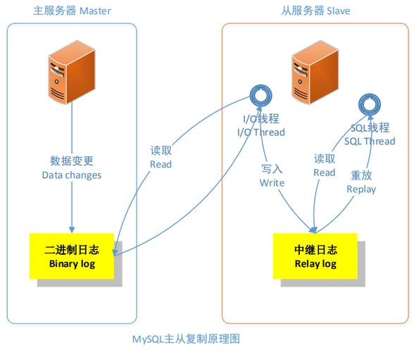 mysql主从手动复制数据库_开始使用