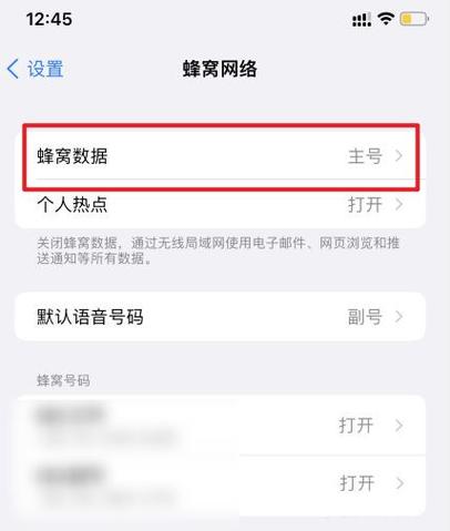 苹果手机的sim设置在哪里