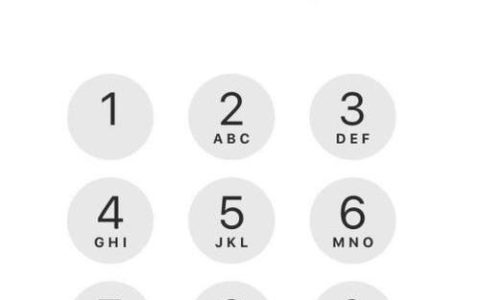 如何找到苹果手机中的SIM卡设置选项?