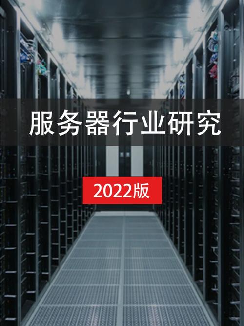 服务器行业是什么时候开始用的