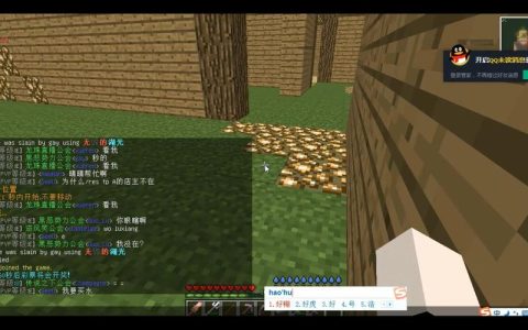 小磊的服务器配置有何特别之处？