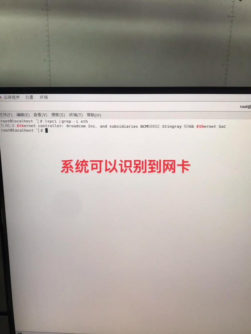 服务器网卡死掉的原因是什么