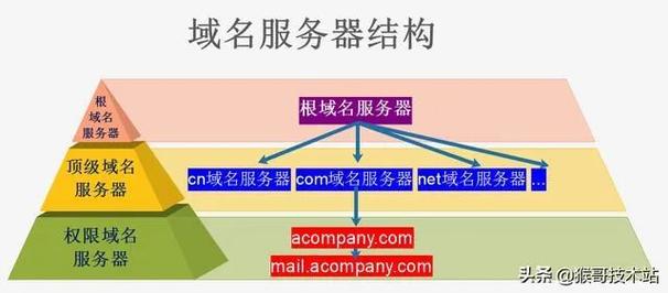 dns和域名服务器有什么区别