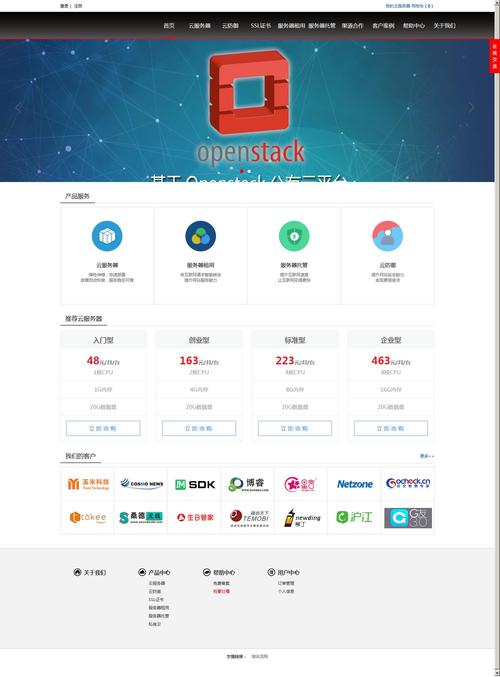 海外云服务器公司名称叫什么