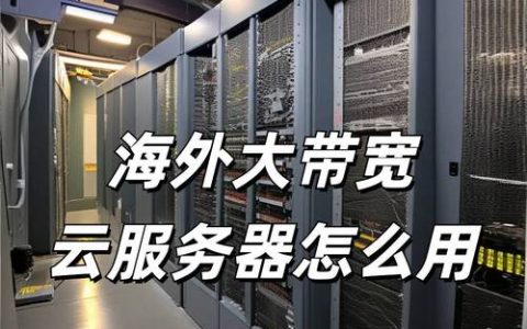 如何选择适合自己需求的海外云服务器公司？