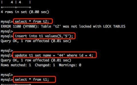 如何在MySQL数据库中查询锁信息?