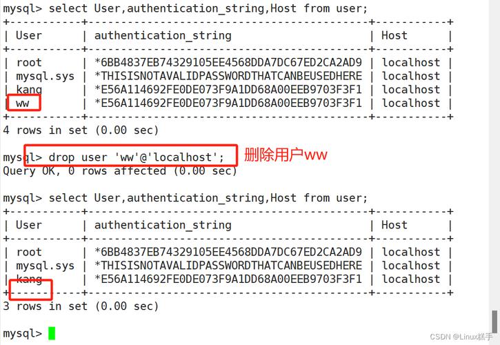mysql先建数据库还是用户_管理数据库和用户（MySQL）