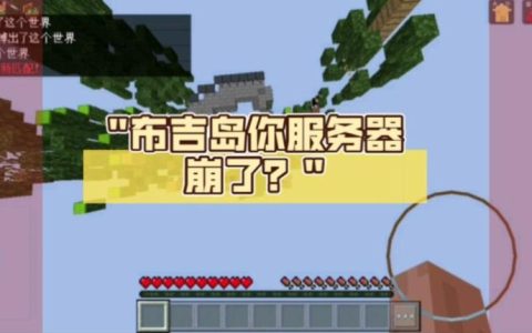 布吉岛服务器遭遇何种灾难导致损毁？