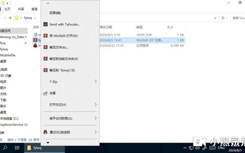 如何在搭建外网可访问的文件服务器时选择合适的协议？