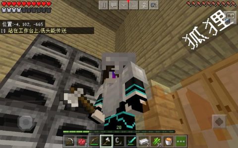 天骐服务器号具体指的是什么？