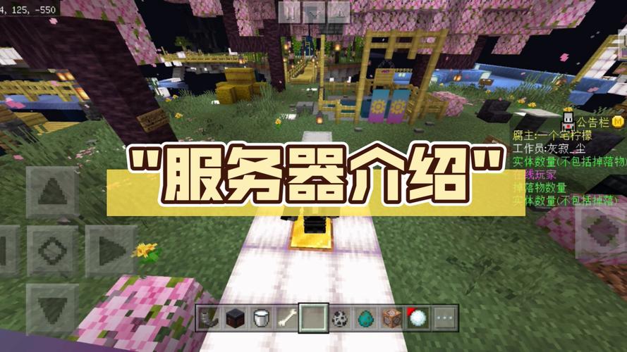 天骐服务器号是什么意思啊