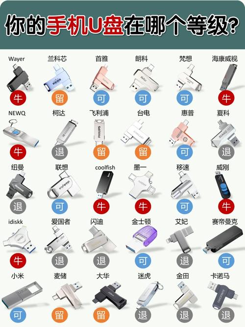 共享u盘是在哪里的