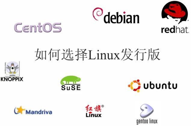 linux服务器发行版有什么用