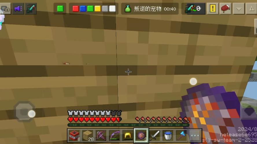 我的世界电脑版什么是ec服务器