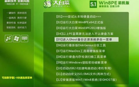 如何安全下载大白菜PE软件？