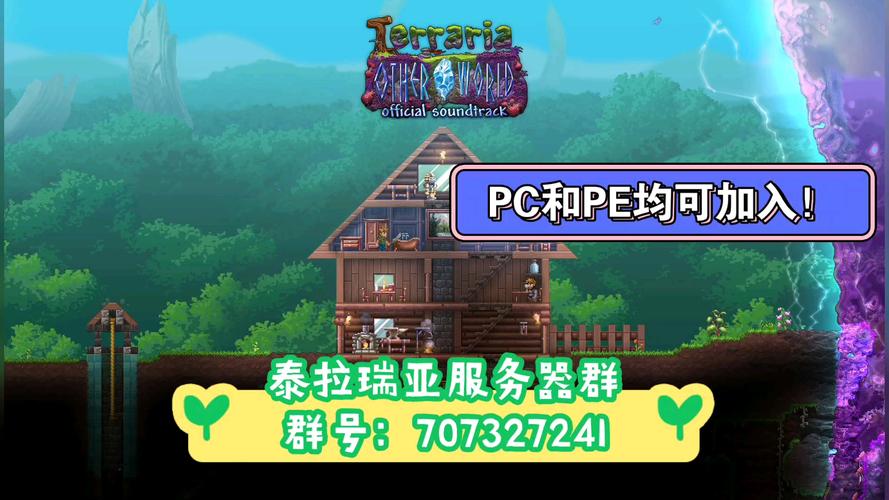 什么服务器可以玩泰拉瑞亚2