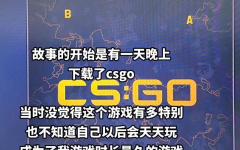 CS2报告服务器具体指的是什么功能或作用？