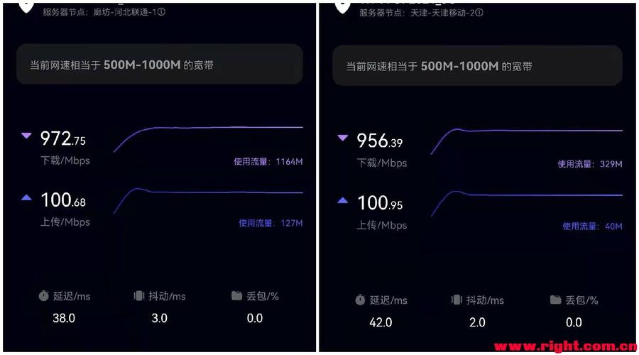 花瓣测速切换服务器有什么区别